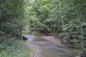 Gibson creek (2) (1)